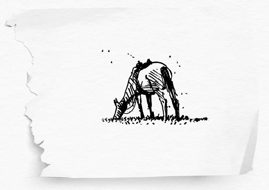 illustration cheval