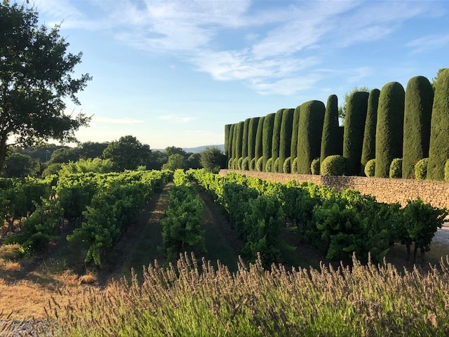 Mas des Infermières, under the sun of Luberon. ridley Scott
